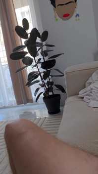 Mamă vitregă, m-ai distras! Vei plăti pentru asta!
