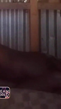 Hit That Pussy Real Good - She Wanted More and More of It