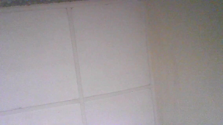 Oladi plenty tv: 호텔 방에서 아요와 셰이드 풀 영상