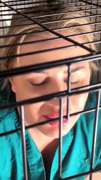 Vycházející hvězda roku