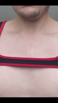 Would You Play with My Nips?