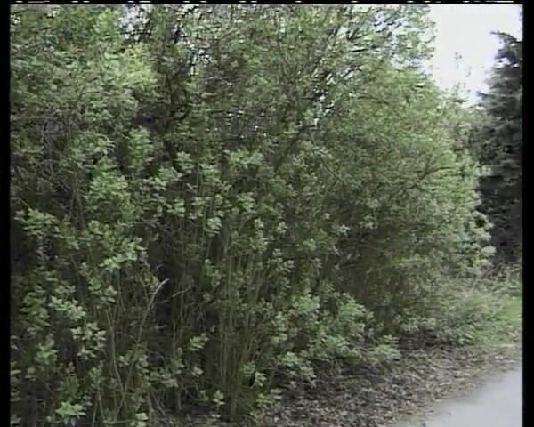 Deutsche Madchen: Teen From Germany Pounded by Older Dude in Her Tight...