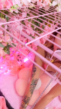 Chambre rose, épisode 38 : Angel Windell, fou de bite, se fait éjaculer dessus