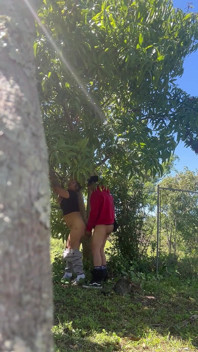 Cambodian berkongkek di dalam hutan