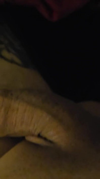 A Resting Penis