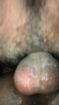 Black Breeders 31
