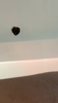 Newly Wedding Girl Suck and Fuck Passionately