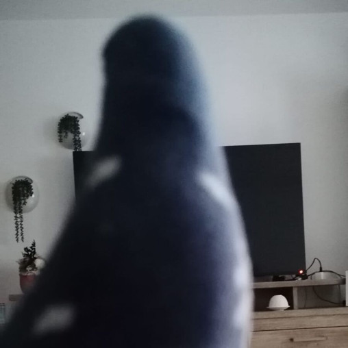Faphouse