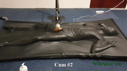 NL Milking: Milked by controlled vibrator in vacbed