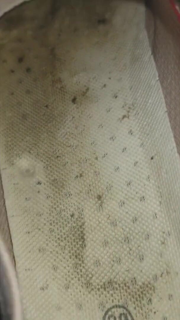 Simp to my ebony feet: come and look inside my dirty 3 days worn trainers