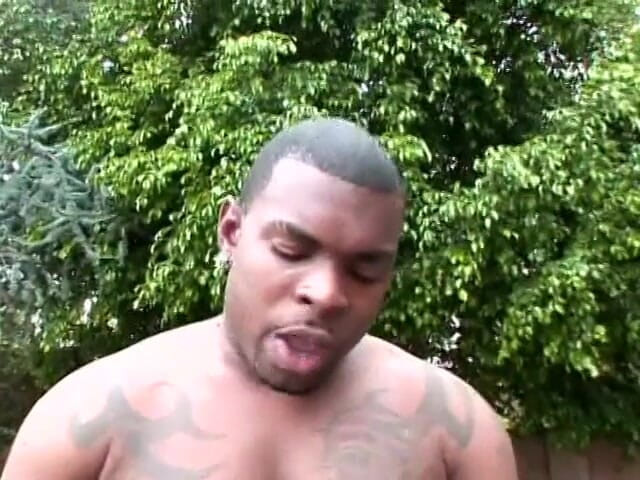 3 Bangers: Un étalon noir baise une salope noire pulpeuse sur une chaise...