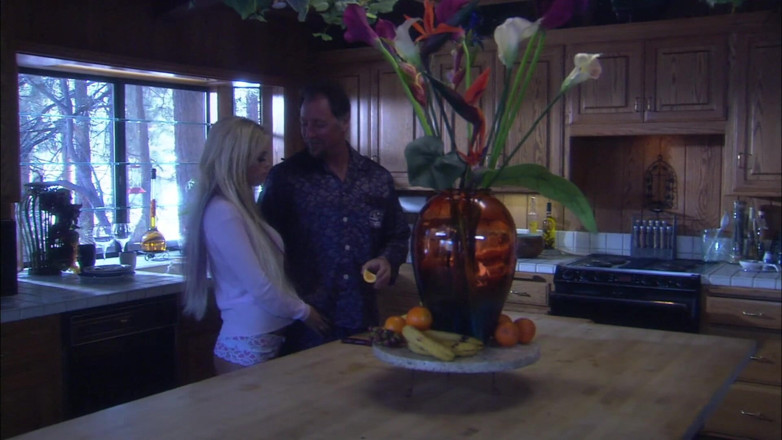 CBD Media: Busty young blonde visitor gets fucked hard in the kitchen...
