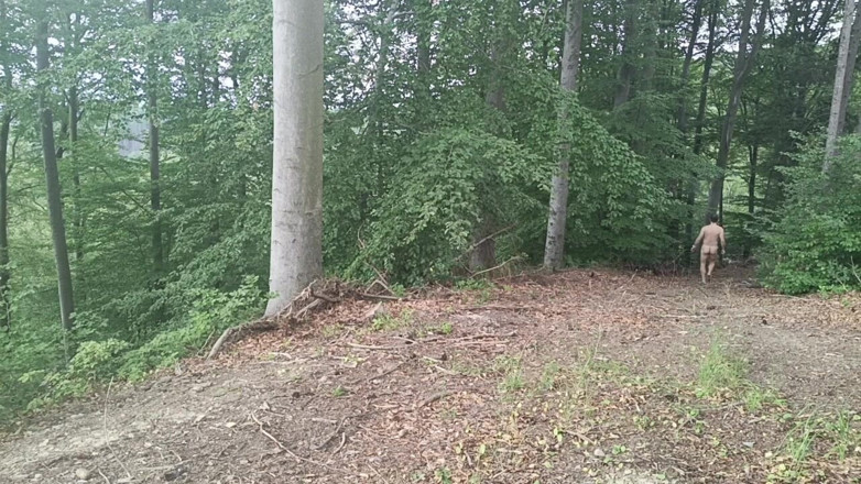 kickerscooter: Esposizione nella foresta: Un uccello inseguito in una foresta di...