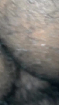 Schwarze züchter 49