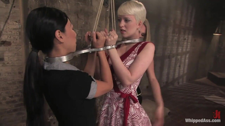 Whipped Ass by Kink: Troie compagni