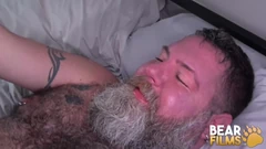 Bearfilms şişman ayı brisket prezervatifsiz adam sutherland
