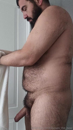 Ulysses the bear: Mengeringkan badan