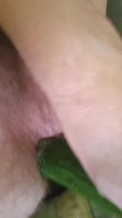 Fuck My Ass