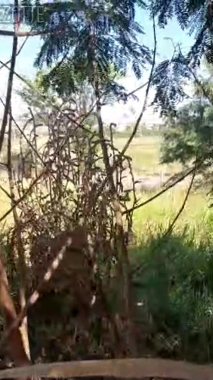 Prezottes_House: 여기 당신은 당신의 섹스 드라이브를 유지하는 방법을 찾을 수 있습니다