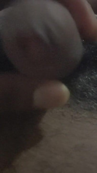 Meu pau