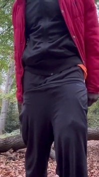 Just Wiggling, Shaking, and Rubbing It in the Woods