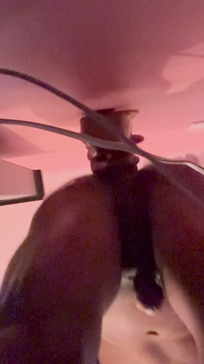 Bekimondragon: My First Dildo and It Feels Soft as Clouds