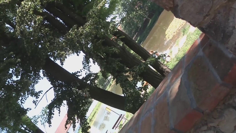 Lethal Teens: Adam kız arkadaşının başka bir adam tarafından sert sikilmesini izliyor