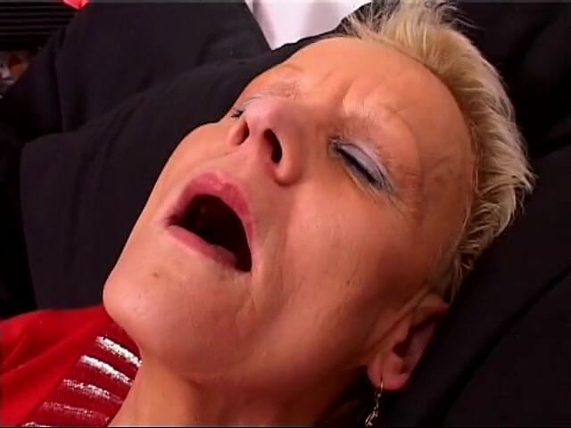 GERMAN PORN CLASSICS: Mogna plommon Vol. 1