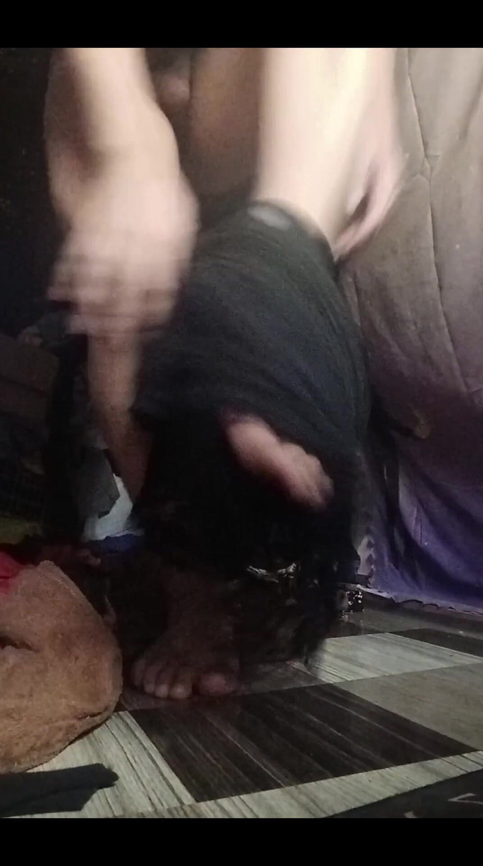 Reynaldo6: ट्रांस एकल आनंद, मुझे खेलते हुए देखो