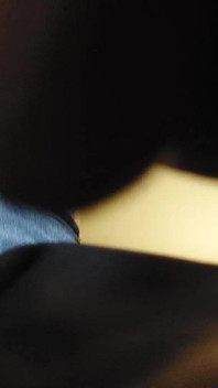 Bulge Xl