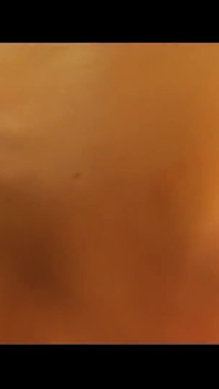 Puto Se Folla a Trans
