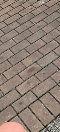 I'm Going to Kick Your Ass with My Size 45 Foot - 12½ Inches