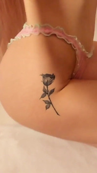 Body Tour