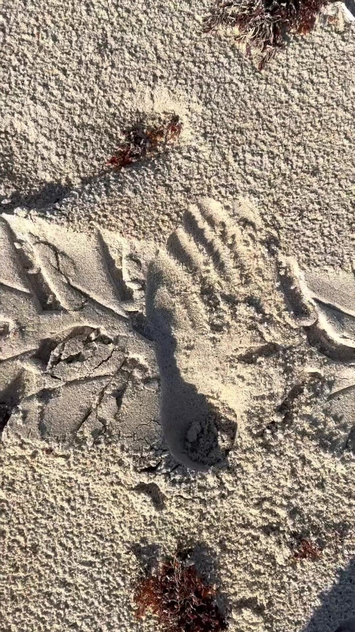 Peppermint Giantess: ビーチの砂の足跡とサイズ16フィートの比較