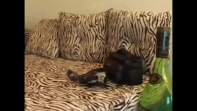 FM Video VOD: Greedy College Girls - (oryginał Full Movie Uncut)