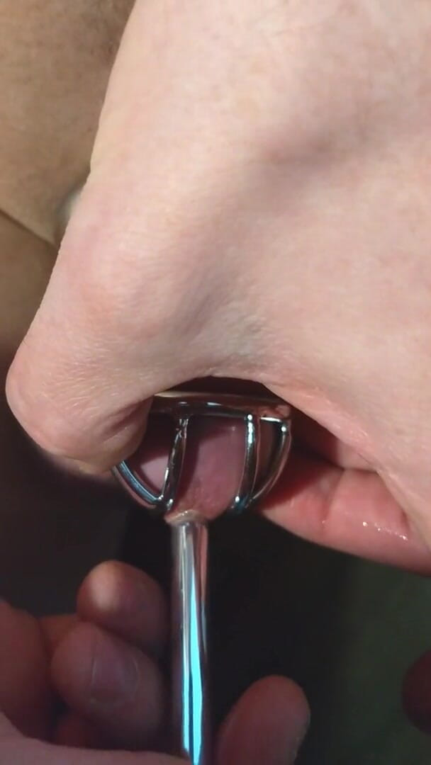 Lycra Shanks: Zvuk Sissy