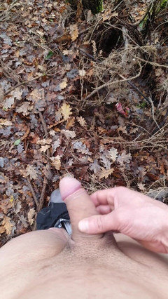 Timmyboy: Timmyboy, ich habe einen Lauf im wald gemacht und ich...