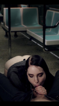 Bonita estranha me chupou no trem - Mollyredwolf