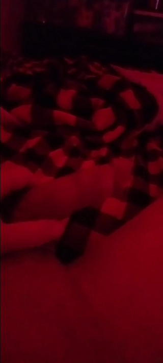 Jcrazy: Hlazení Jcrazy86