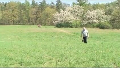 Old PIGS XXX: Oh my God Stepdaddy! - DVD