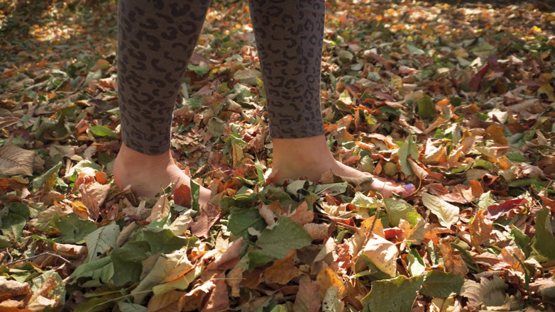 Teasecombo 4K: Yaprak kıtır kıtır ayak altında asmr