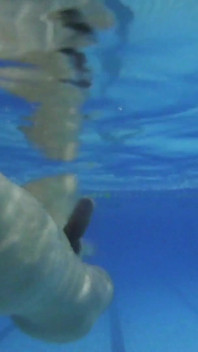 Indoor- piscina pública solo, sem cortes, homem em forma nadando