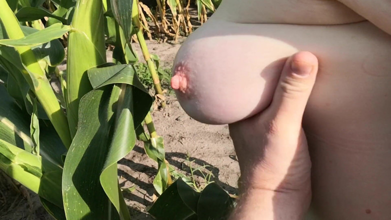 Bouncy Tits Action: Beni mısır tarlasında tokatla