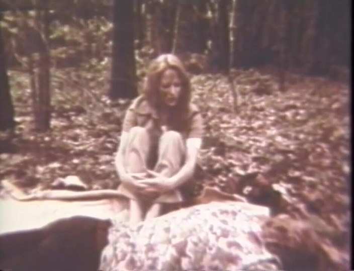 Vintage Usa: Sexo cult do passado vol.11