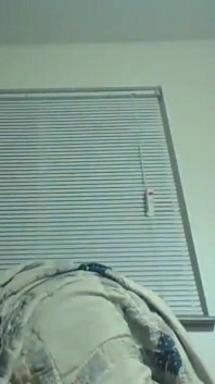 Headphones & Beanie on; Barechested and Stroking Lazily to Porn