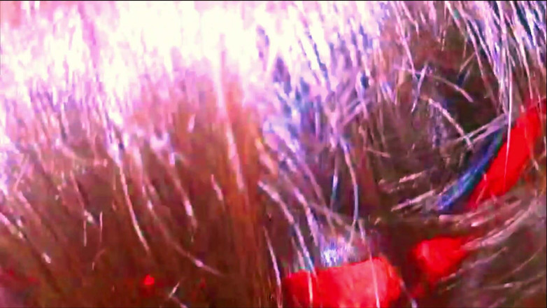 NubeBukkake: Meu corpo está em fogo gangbang, anal, dupla penetração, engolindo...