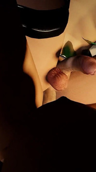 Princess Link, accouplement avec une presse | La légende de Zelda