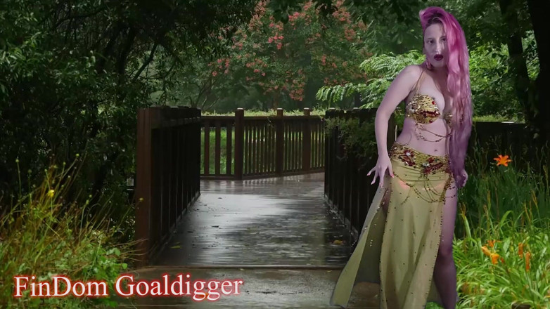 FinDom Goaldigger: Transformasi menjadi pokok