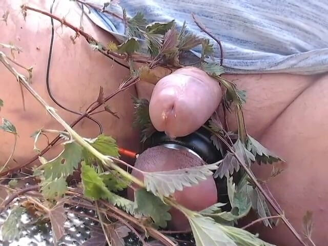 Gaylectrician: Distracție cu urzica