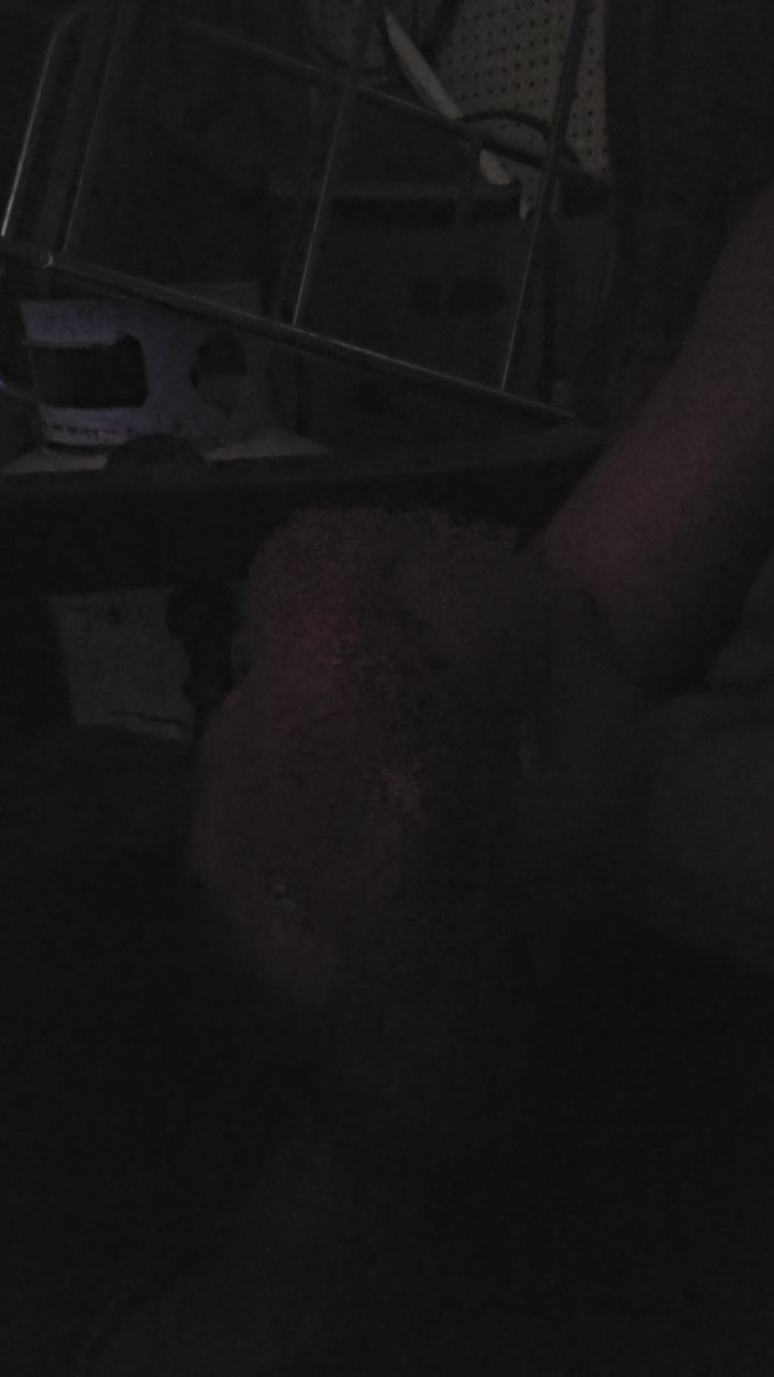 Big dick davis: Tool Shed Activity
